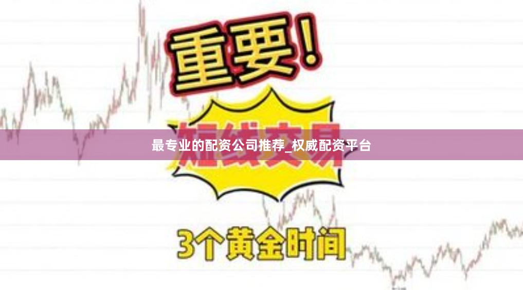 最专业的配资公司推荐_权威配资平台
