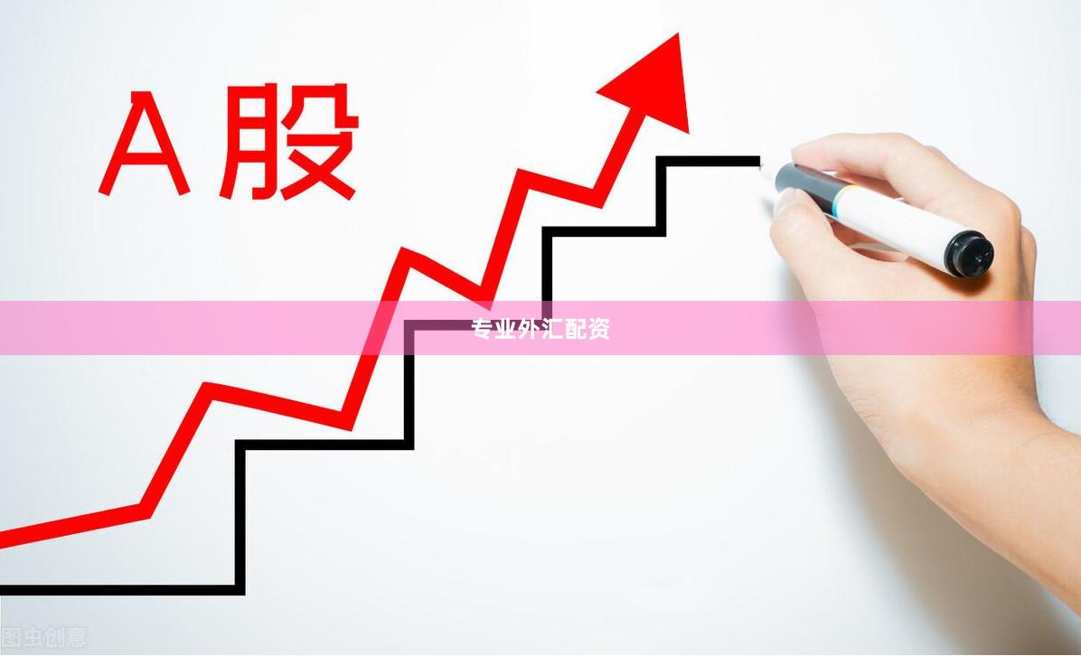 专业外汇配资