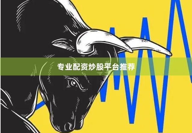 专业配资炒股平台推荐