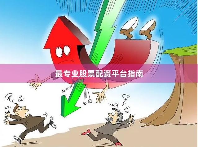 最专业股票配资平台指南