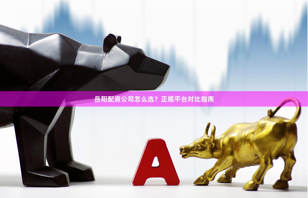 岳阳配资公司怎么选？正规平台对比指南